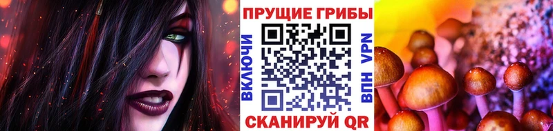 Галлюциногенные грибы MAGIC MUSHROOMS  Балабаново 